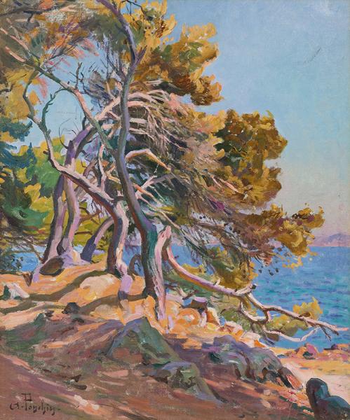 Arbre dans les calanques