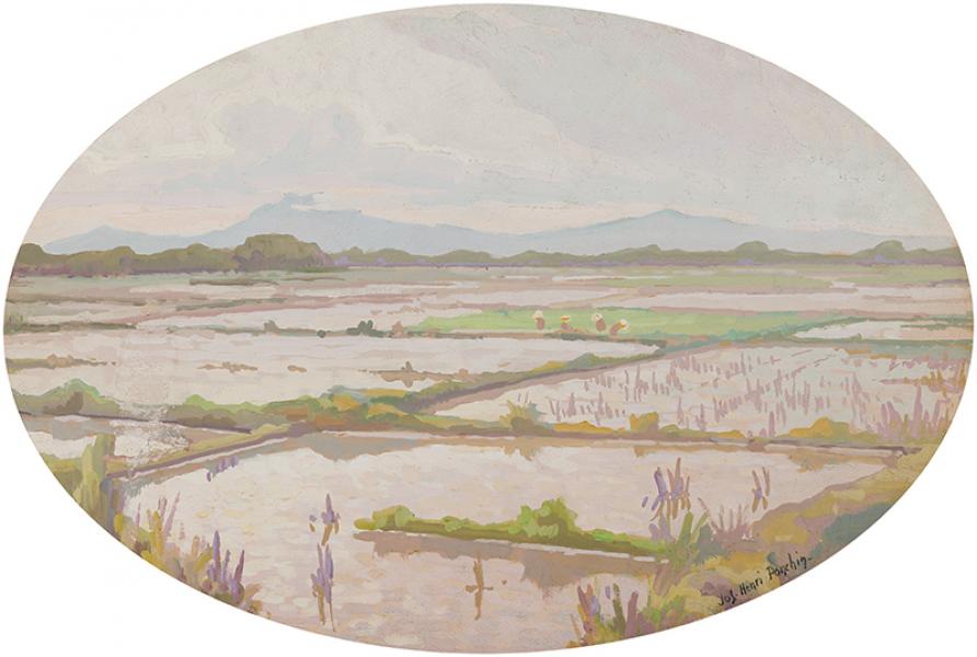 Rizières
