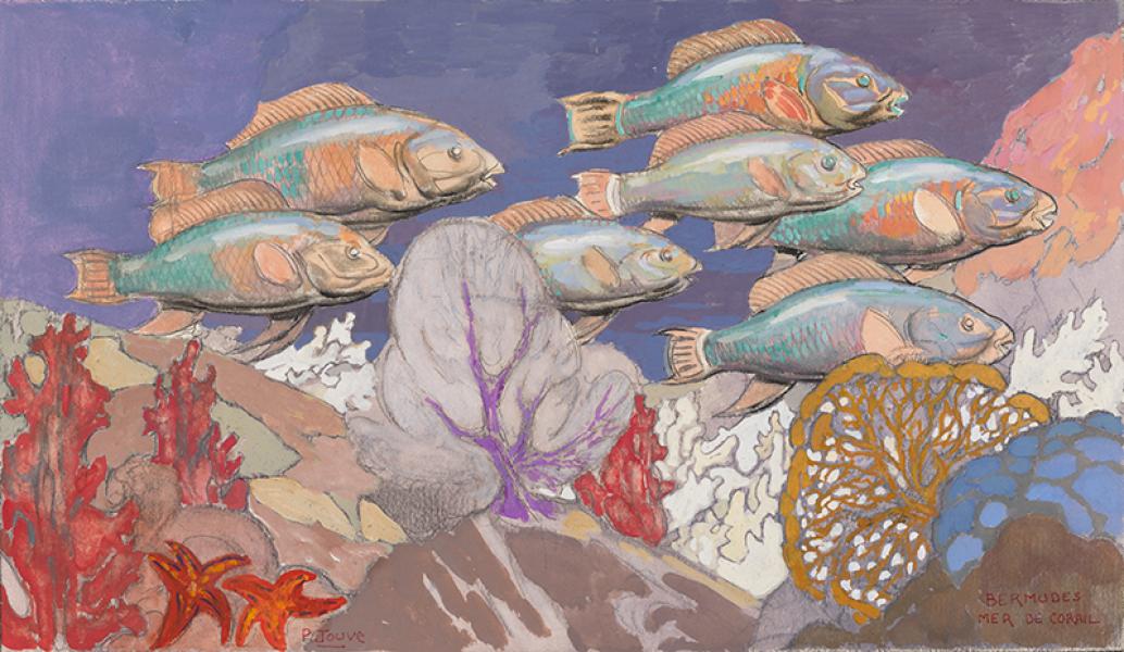 Poissons des Bermudes, mer de Corail, circa 1957